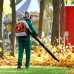 Leaf-Clean-Up