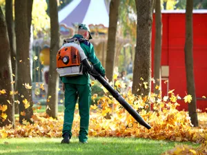 Leaf-Clean-Up