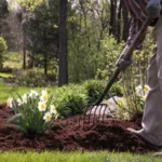 Spring-Clean-Up-Service-In-Crystal-Lake-IL