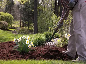 Spring-Clean-Up-Service-In-Crystal-Lake-IL