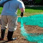 sod-hydroseed-1-1