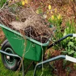 spring-cleanup-e1488638834526