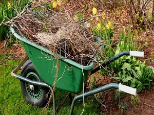 spring-cleanup-e1488638834526